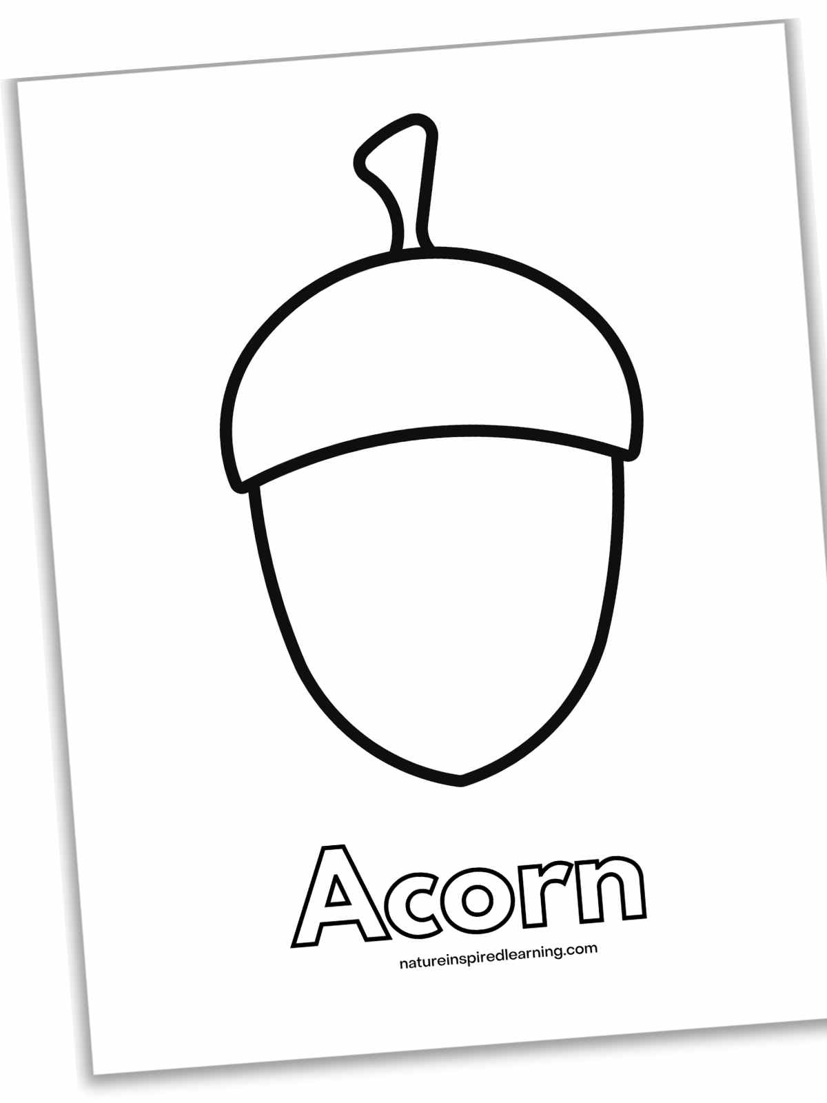 Acorn Coloring Pages Nature Inspired Learning 20 Acorn Coloring Pages Free PDF Printables