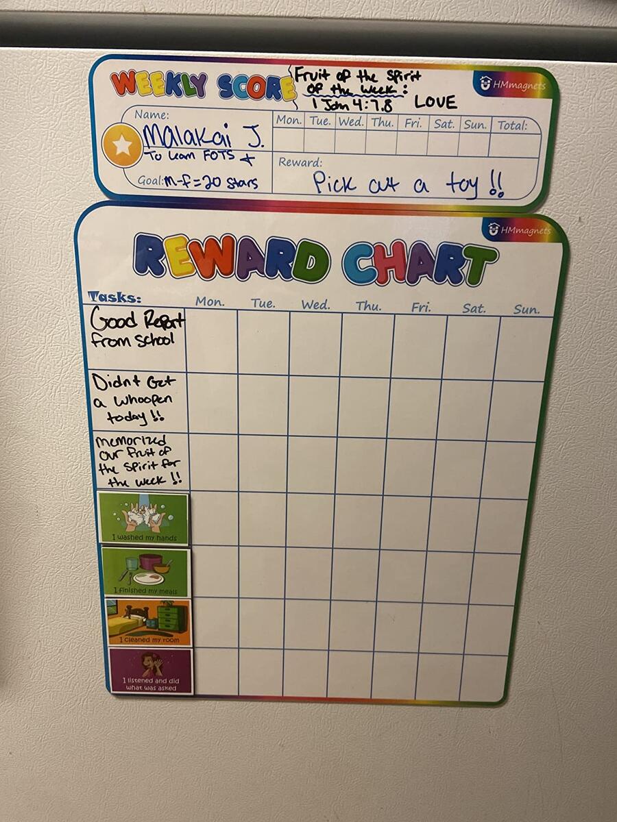 Additional 30 Blank Magnets For Reward Chart Additional 30 Blank Magnets For Reward Chart