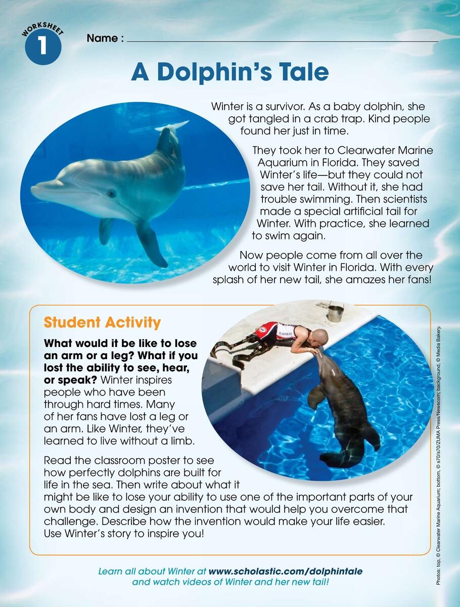 ADolphinsTail Flip EBook Pages 1 5 AnyFlip