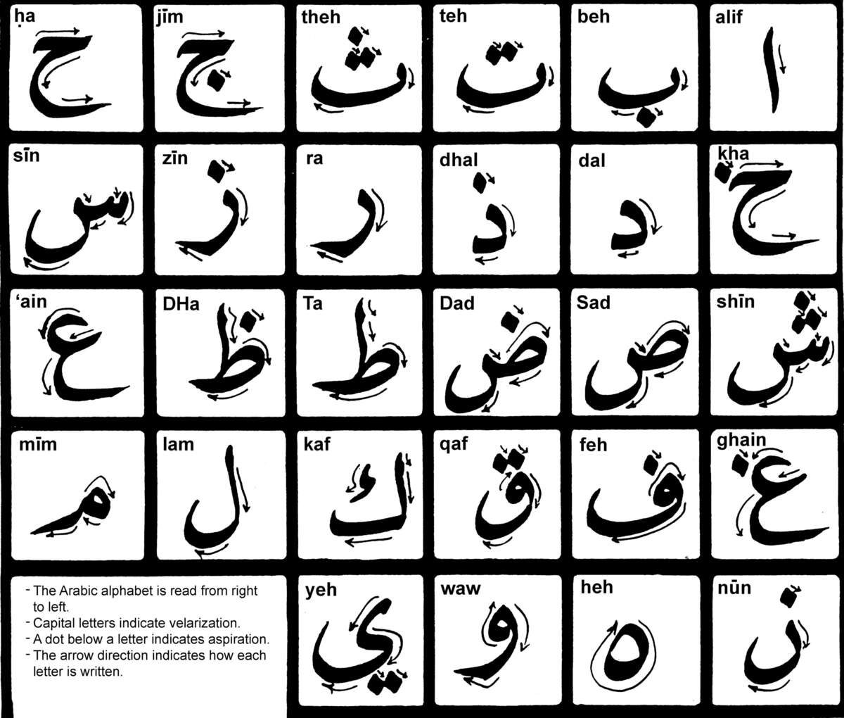 All About Learning The Arabic Alphabet Online Fifty Centuries Arabic Alphabet All The Letters Explained Busuu