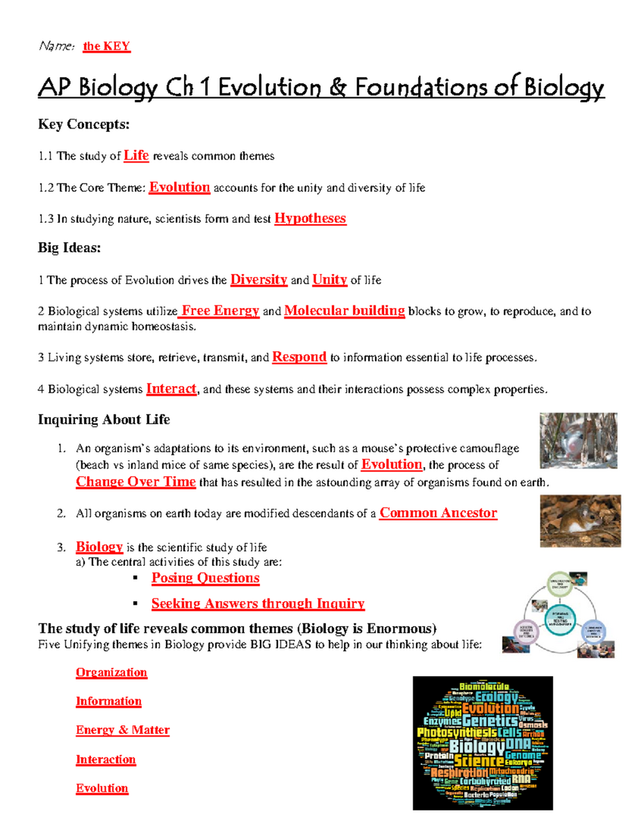 AP Biology Ch 1 Evolution Foundations Study Guide 003 Studocu