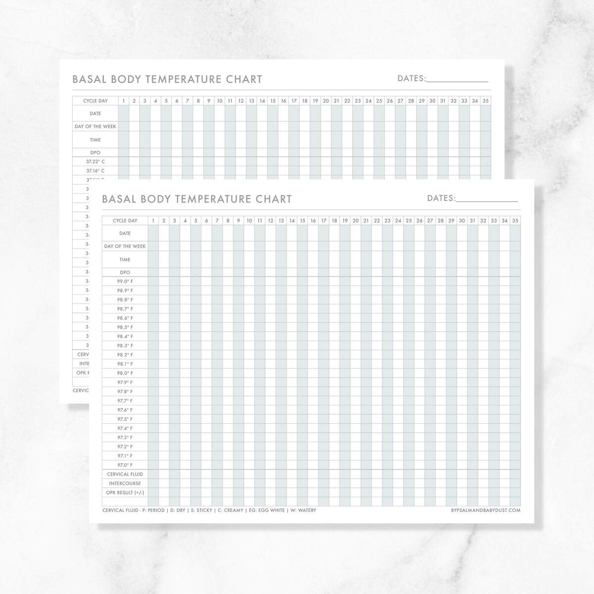 Basal Body Temperature Chart BBT Chart In Fahrenheit Celsius Digital Printable Minimalist Design In Calm Blue Etsy Finland Body Temperature Measurement Record Form Excel Template And Google Sheets File For Free Download Slidesdocs