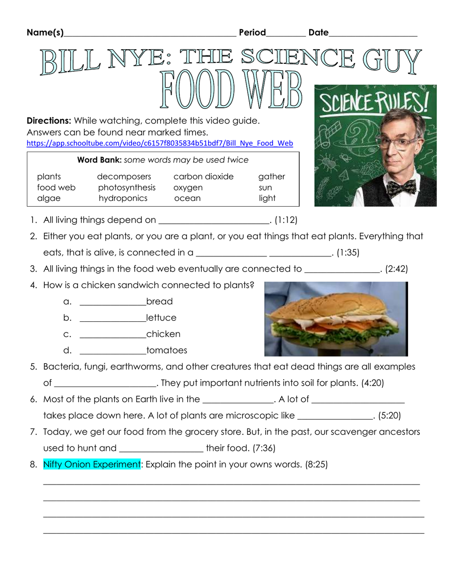 Bill Nye Food Web Worksheet Bill Nye Food Web Worksheet