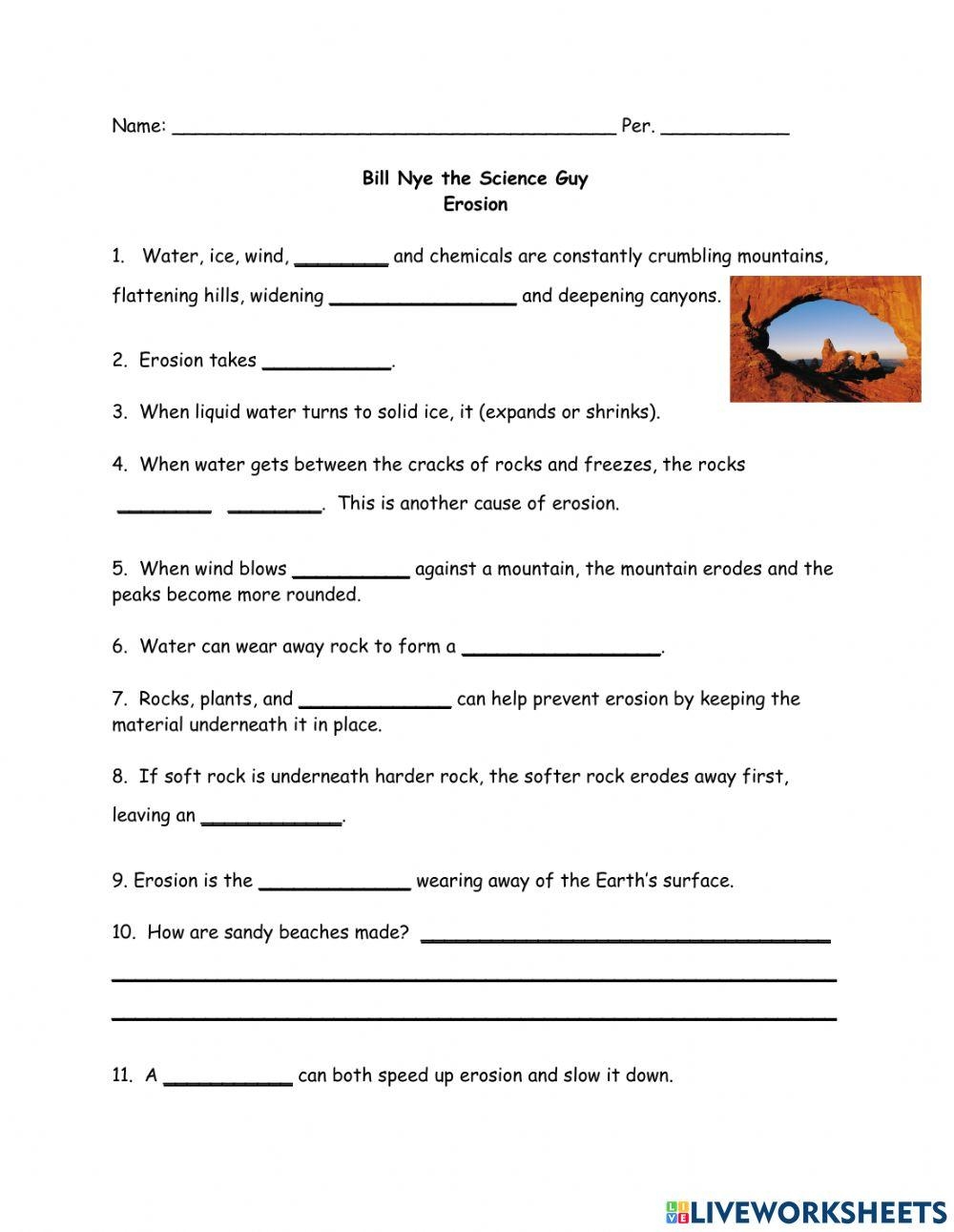 Bill Nye Plants 2 Bill Nye Plants 1 Without Plants There Worksheets Library BN Science 7 Food Webs Worksheet And Ecosystem Model Insights Studocu