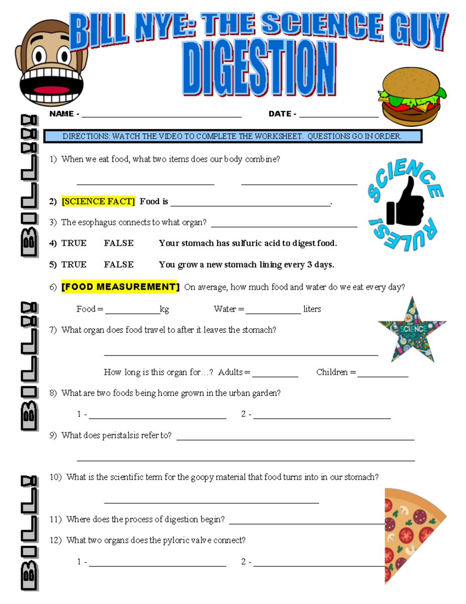 Bill Nye The Science Guy Digestion Worksheet Science Course Studocu Forensics Anthropology Worksheet WordMint
