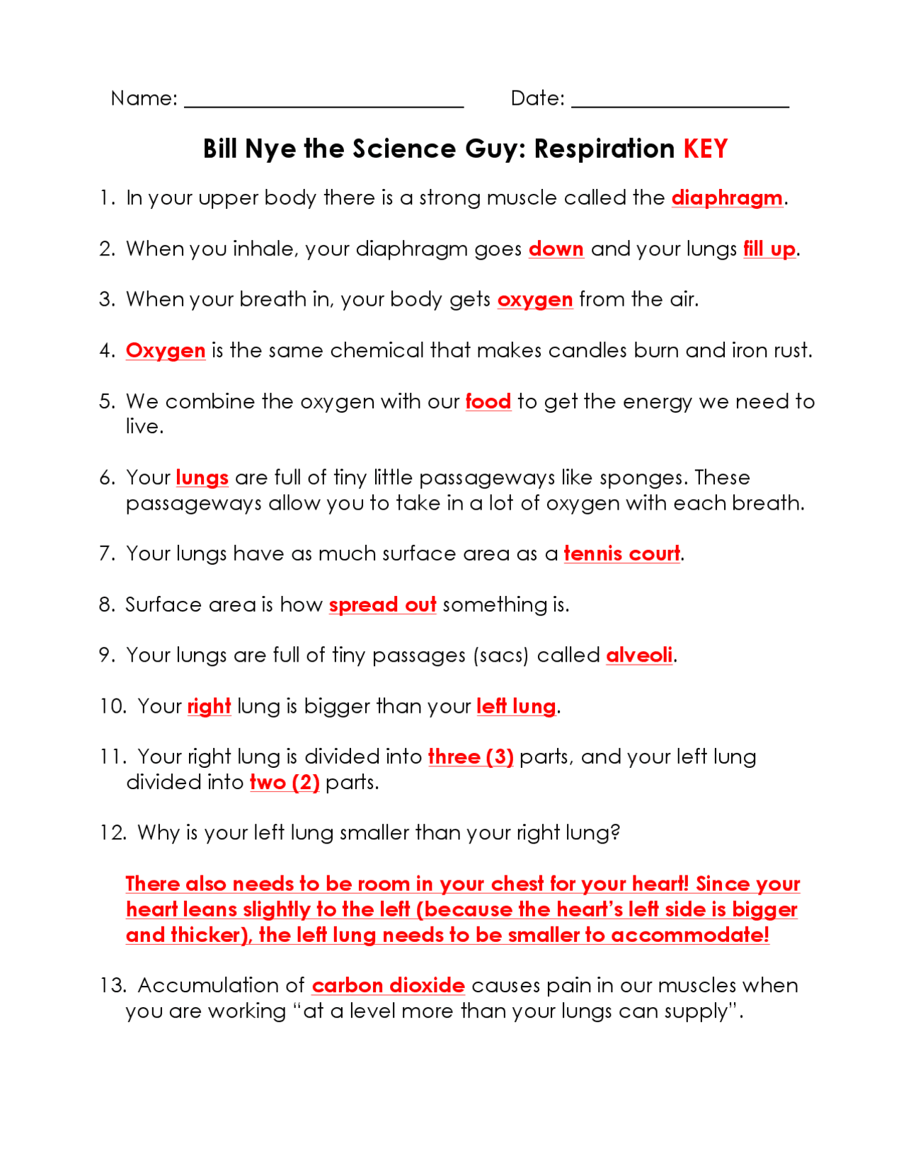 Bill Nye The Science Guy Respiration KEY Lecture Notes Science Education Docsity