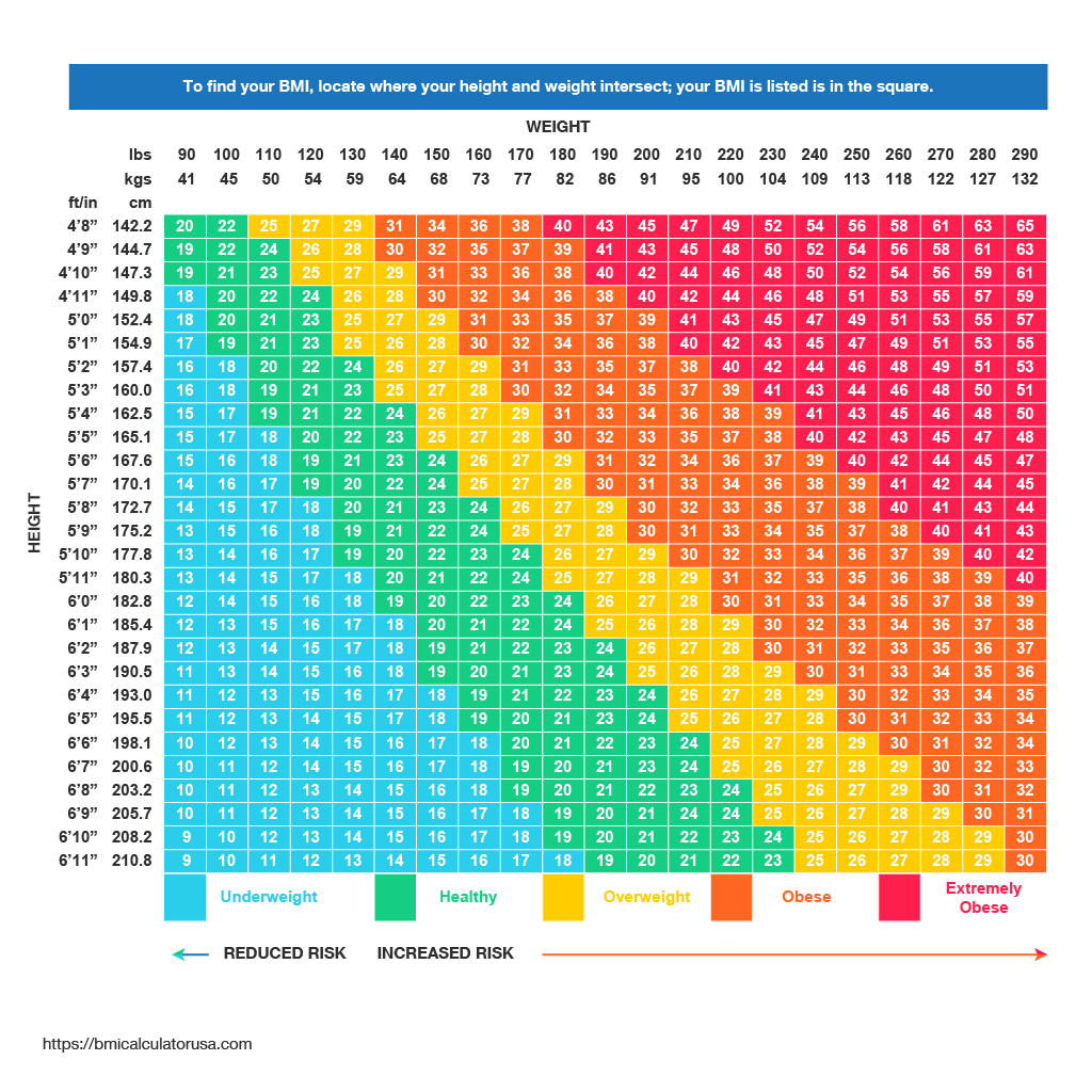Bmi Index Chart Cut Out Stock Images Pictures Alamy