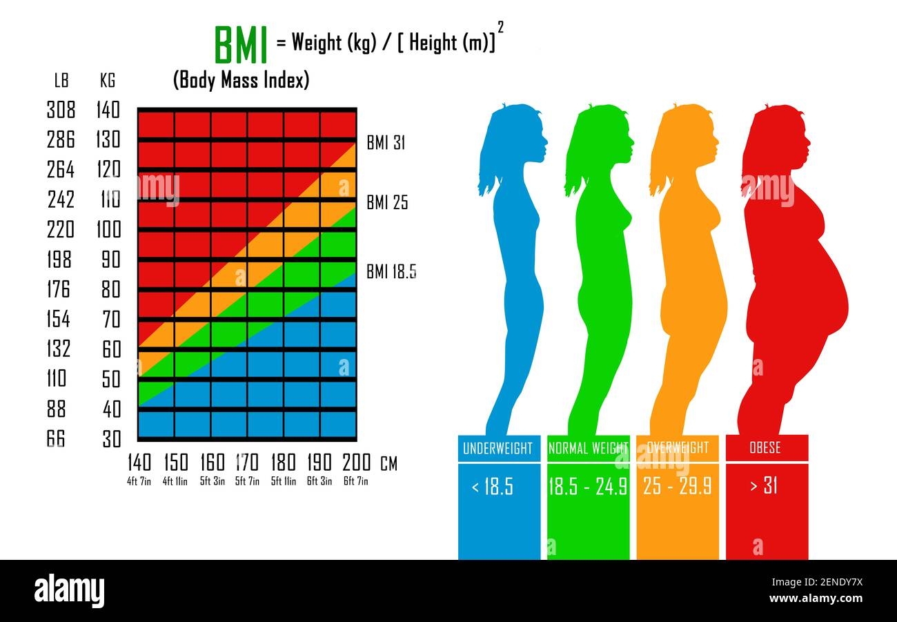 Bmi Index Chart Cut Out Stock Images Pictures Alamy