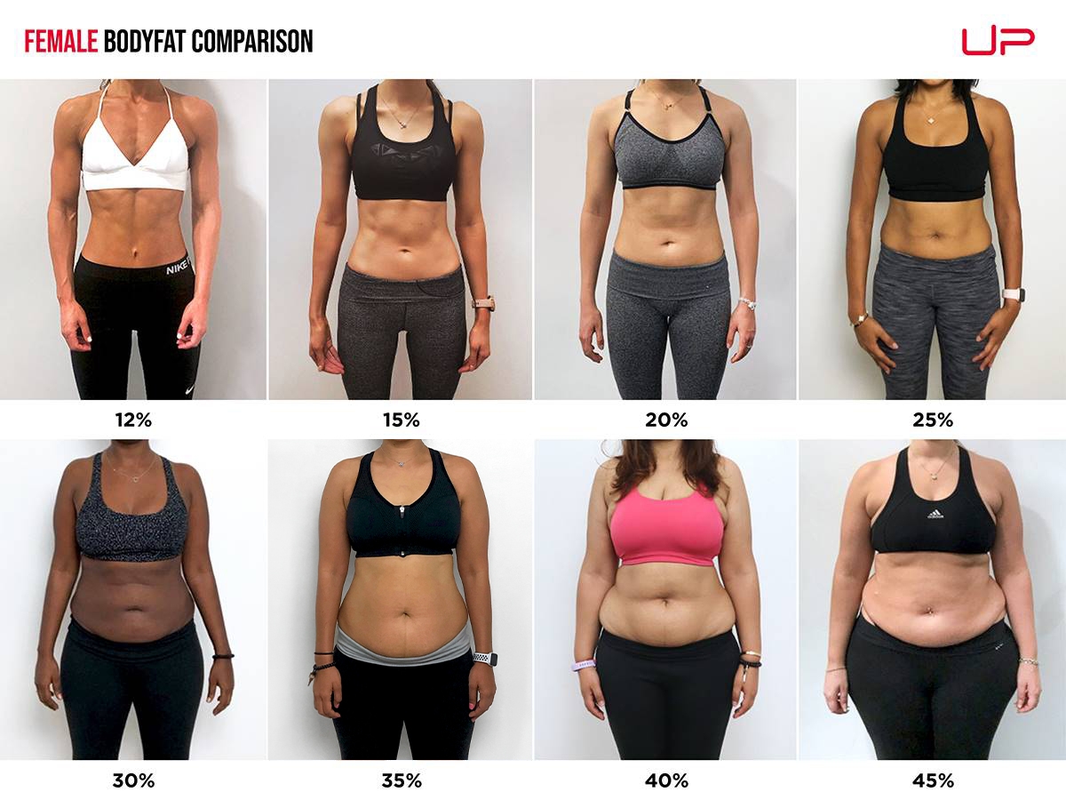 Free Body Fat Percentage Chart By Age And Gender Template To Edit Online