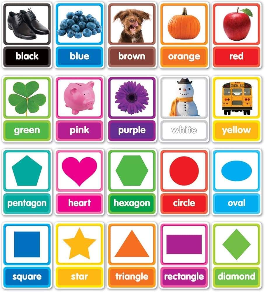 Bulletin Board Colors Shapes In Photos Scholastic Teacher S Friend Scholastic 9781338344851 Amazon Office Products
