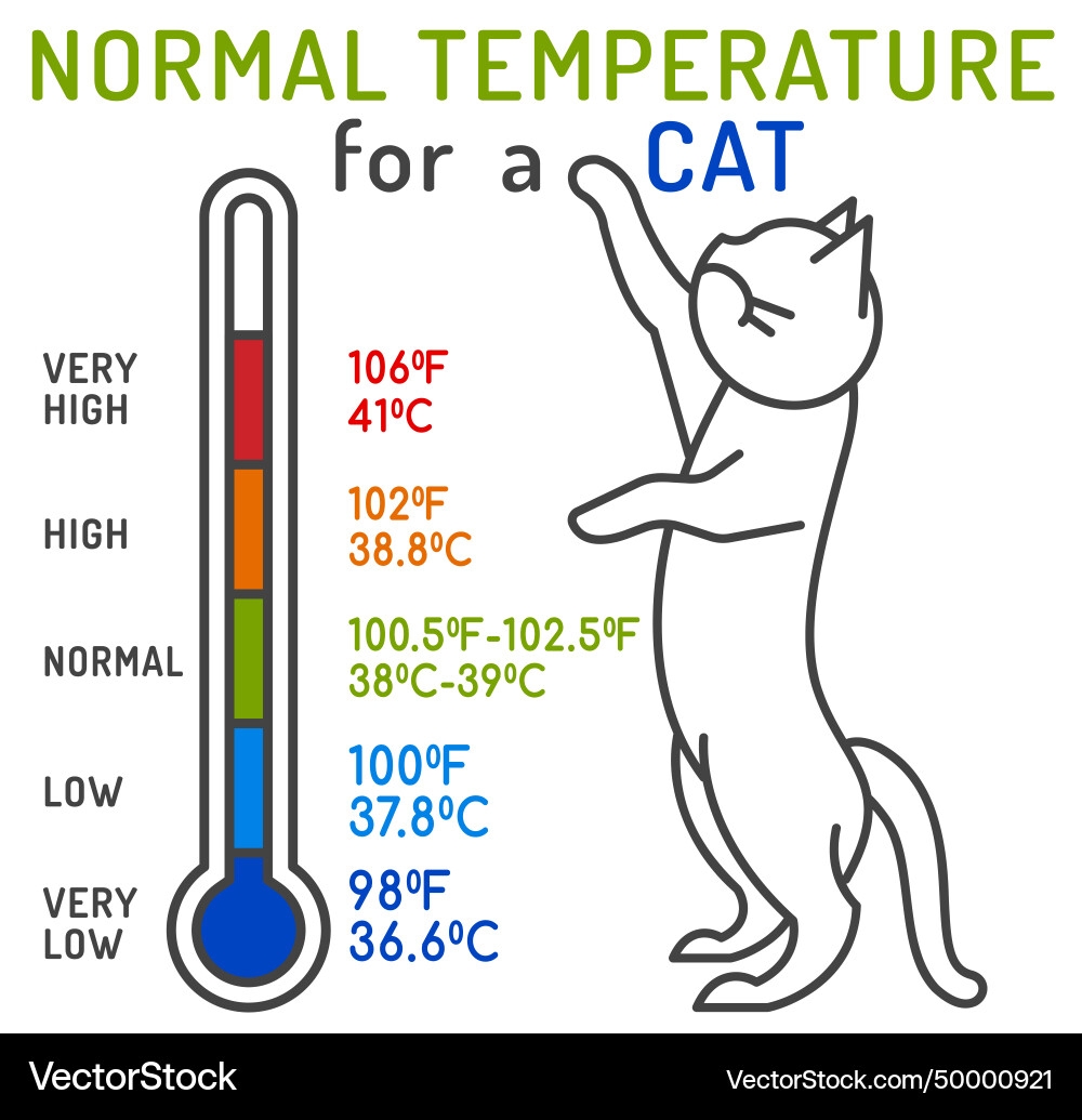 Cat Normal Temperature Chart Royalty Free Vector VectorStock