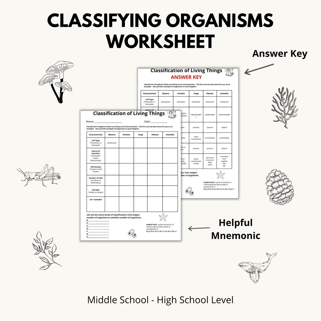 Classifying Organisms Worksheet Etsy Denmark