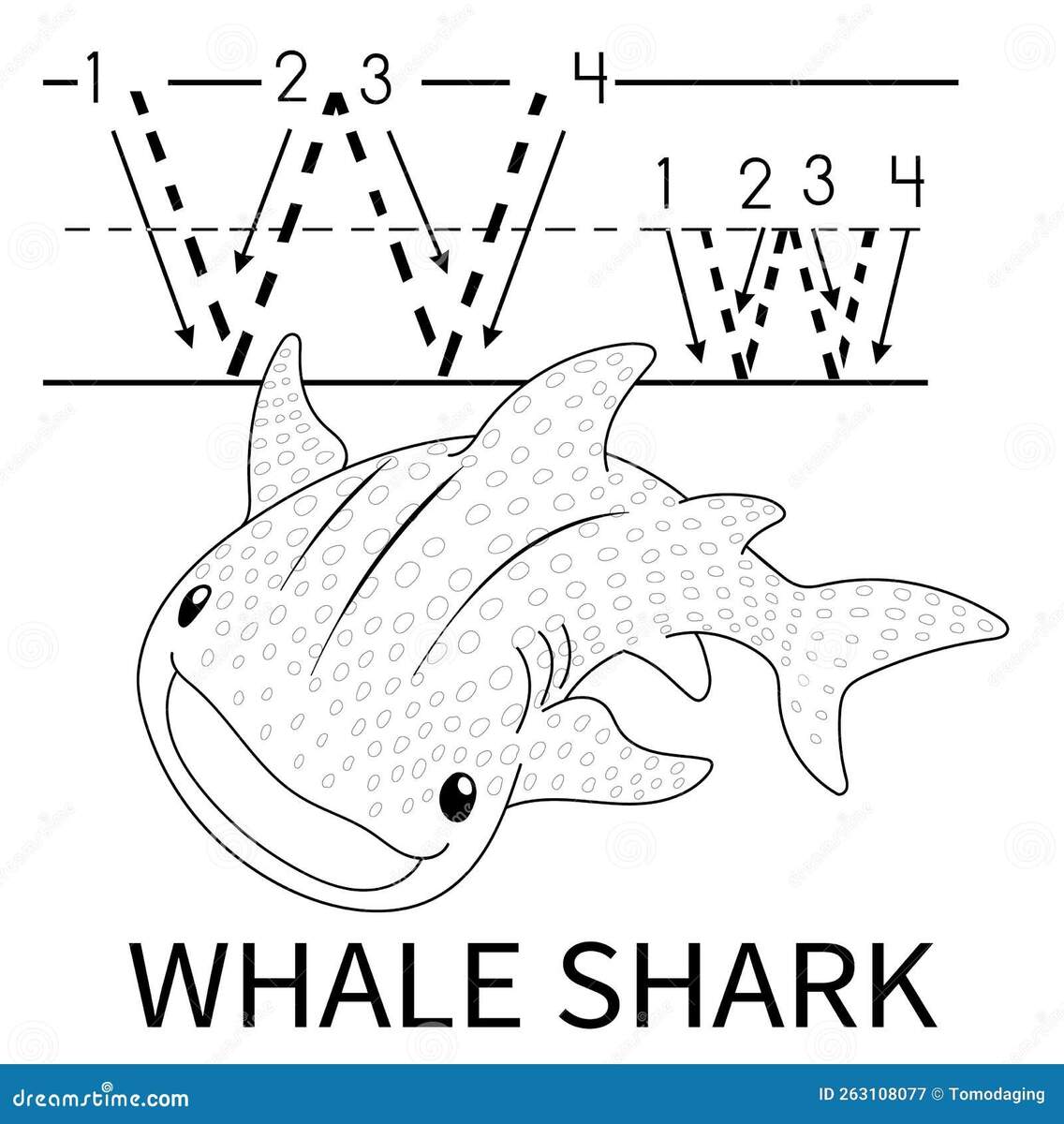 Cute Sea Animal Alphabet Series W Is For Whale Shark Stock Vector Illustration Of Exercise Isolated 263108077