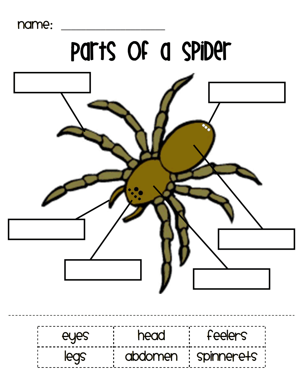 Discover 26 Booklet On Spiders And Spider Activities Ideas Spider Theme Spider Unit Spider Fact And More Discover 26 Booklet On Spiders And Spider Activities Ideas Spider Theme Spider Unit Spider Fact And More