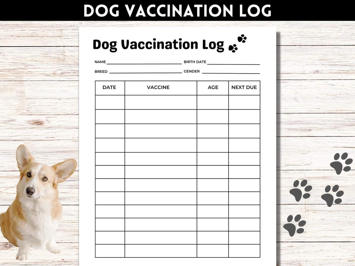 Dog Vaccination Record Pet Vaccination Tracker Puppy Vaccine Log Puppy Shots Record Printable PDF Etsy