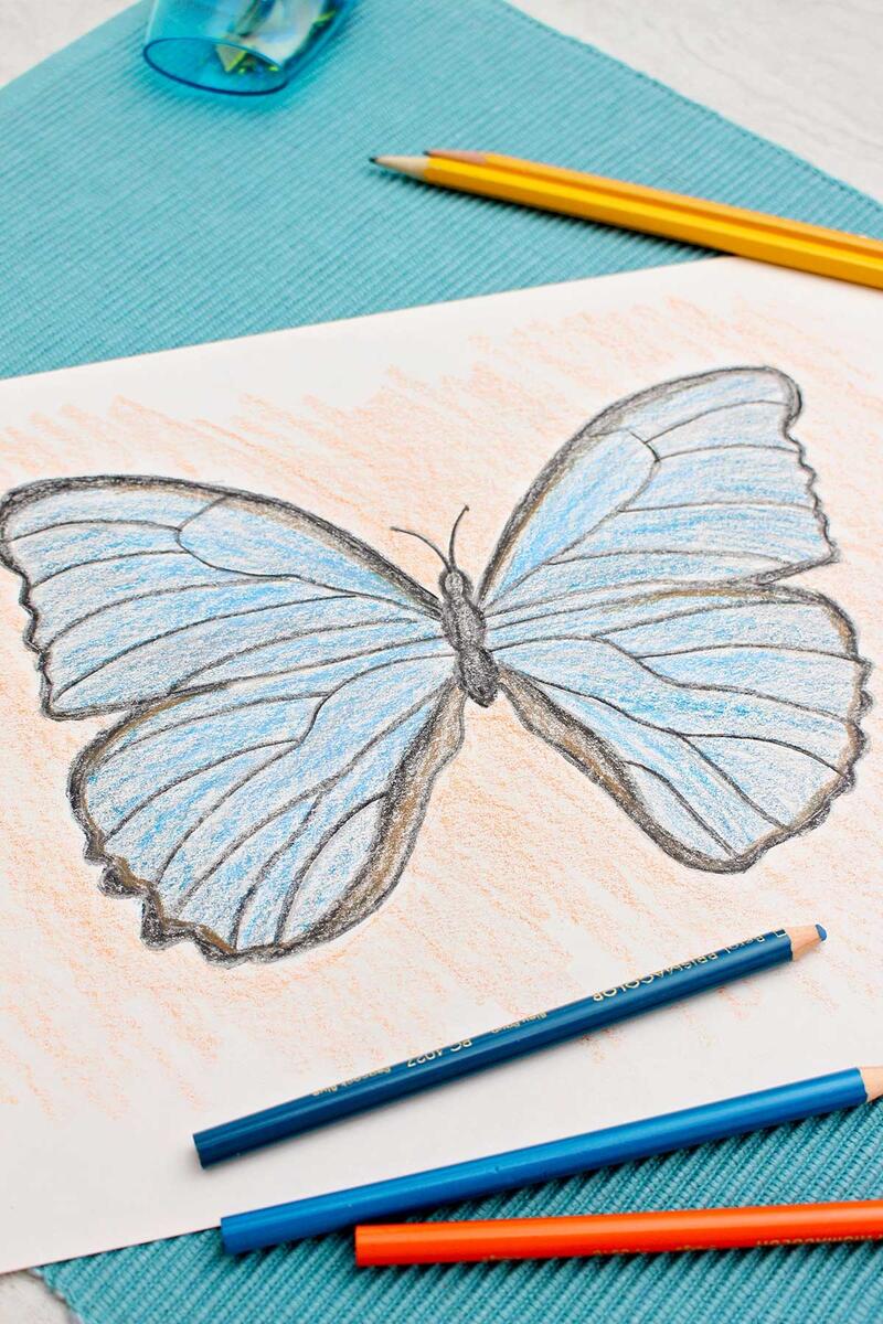 Easy Butterfly Drawing 2 Ways Welcome To Nana s