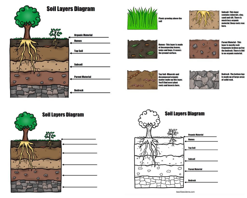 Edible Earth Soil Layers Dirt Cups Teach Beside Me Layers Of Soil Fold Out Activity Free Printable