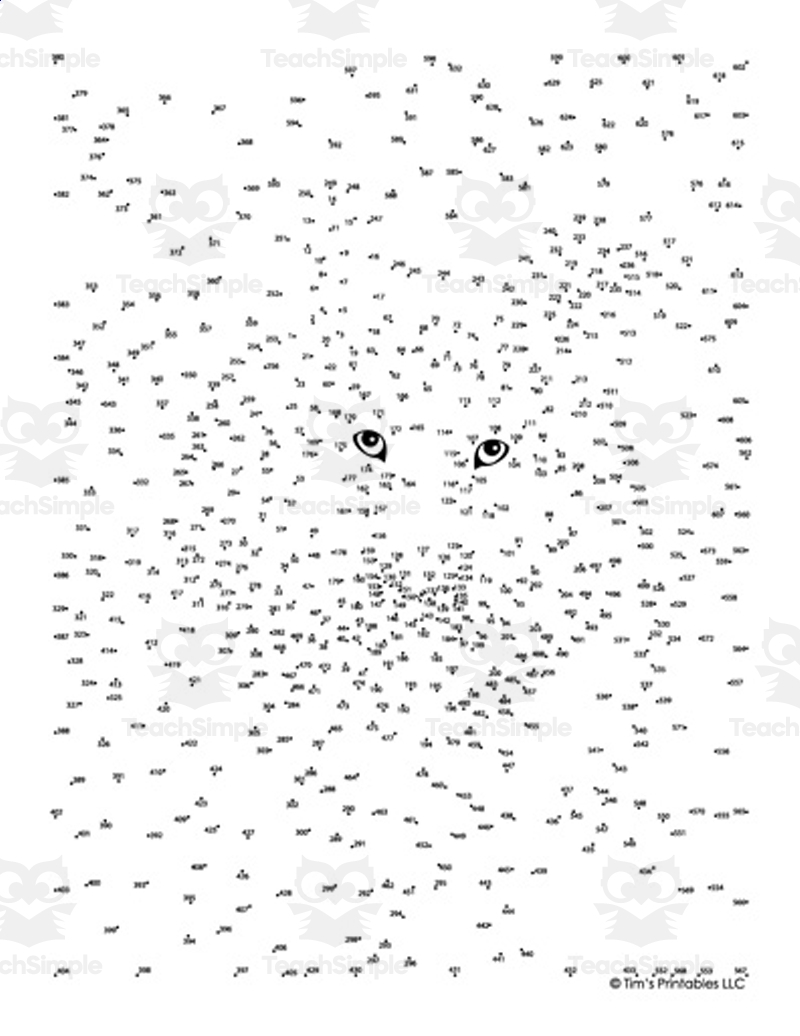 Extreme Dot To Dot Extreme Dot To Dot