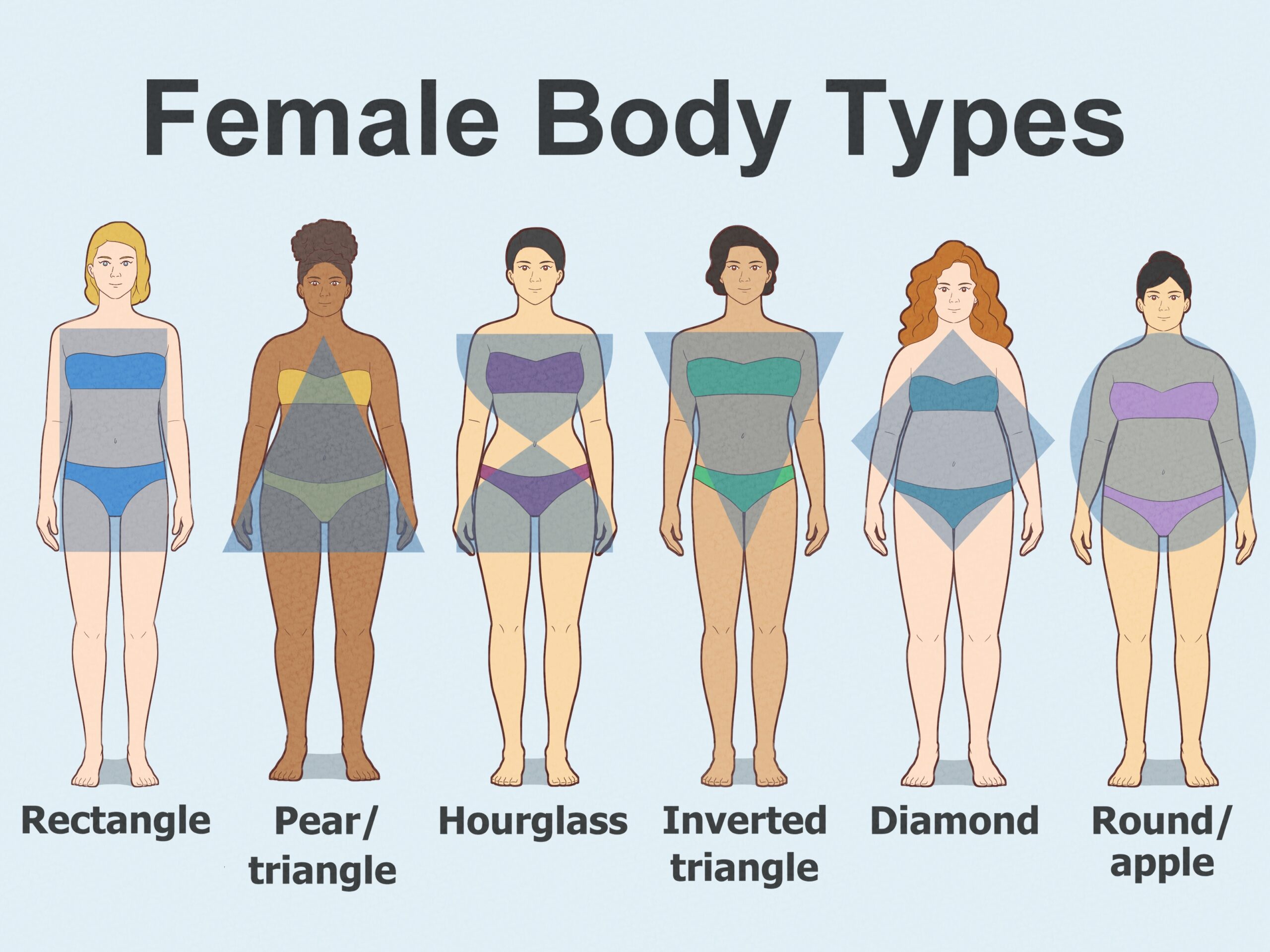 Body Shape Calculator What Body Type Are You Inch Calculator