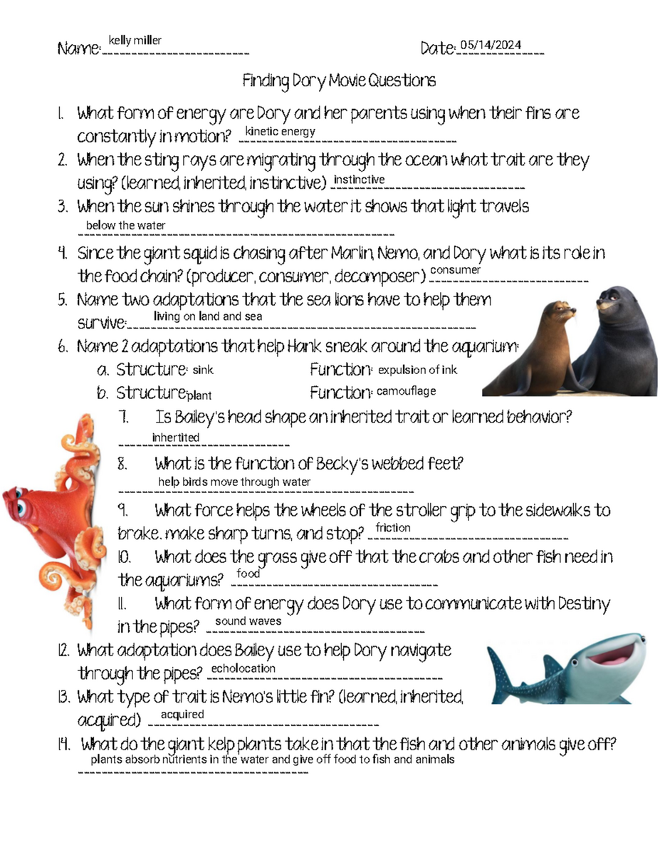 Finding Dory Movie Guide Questions Worksheet PG 2016 Teaching Resources
