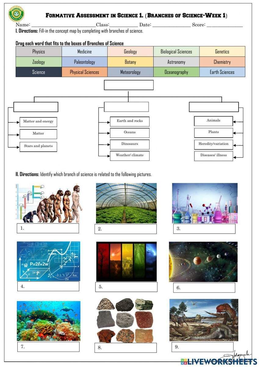 Free Branches Of Science Worksheet Download Free Branches Of Science Worksheet Png Images Free Worksheets On Clipart Library Free Branches Of Science Worksheet Download Free Branches Of Science Worksheet Png Images Free Worksheets On Clipart Library