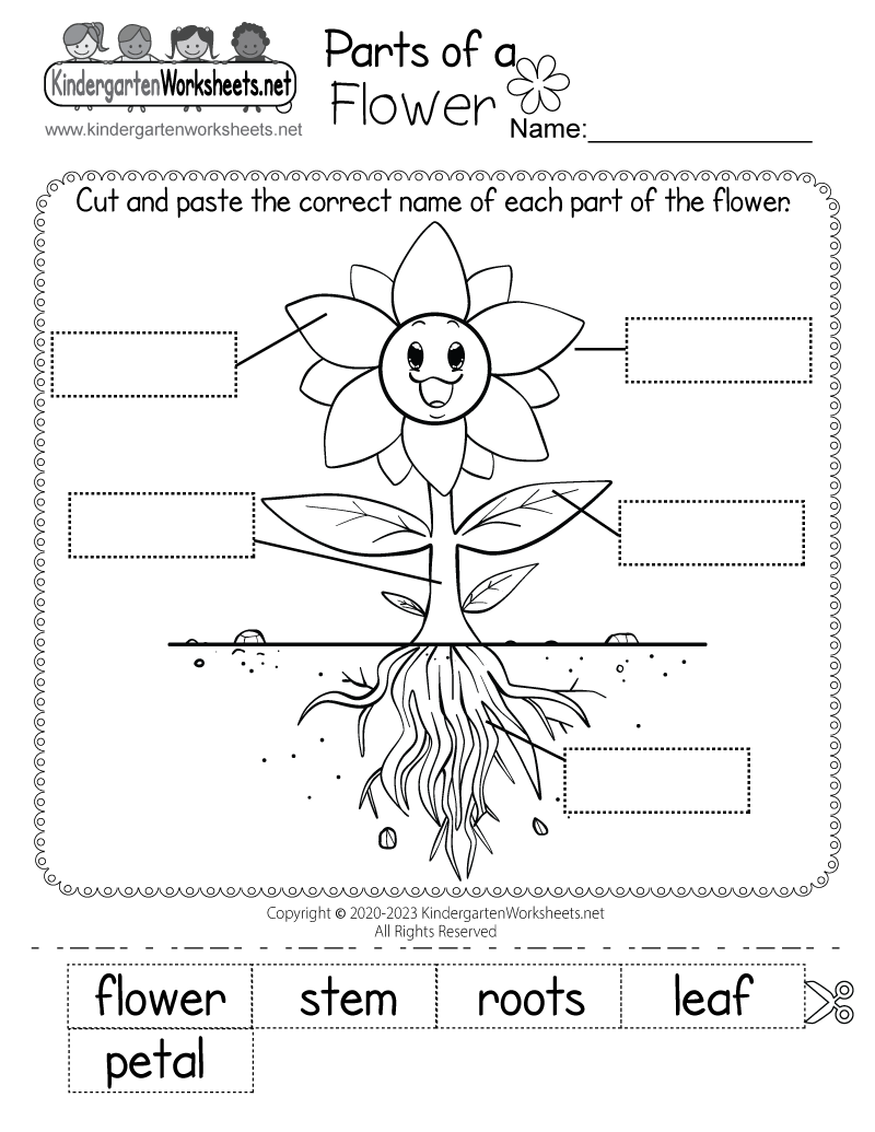 Parts Of A Flower Worksheet The Filipino Homeschooler