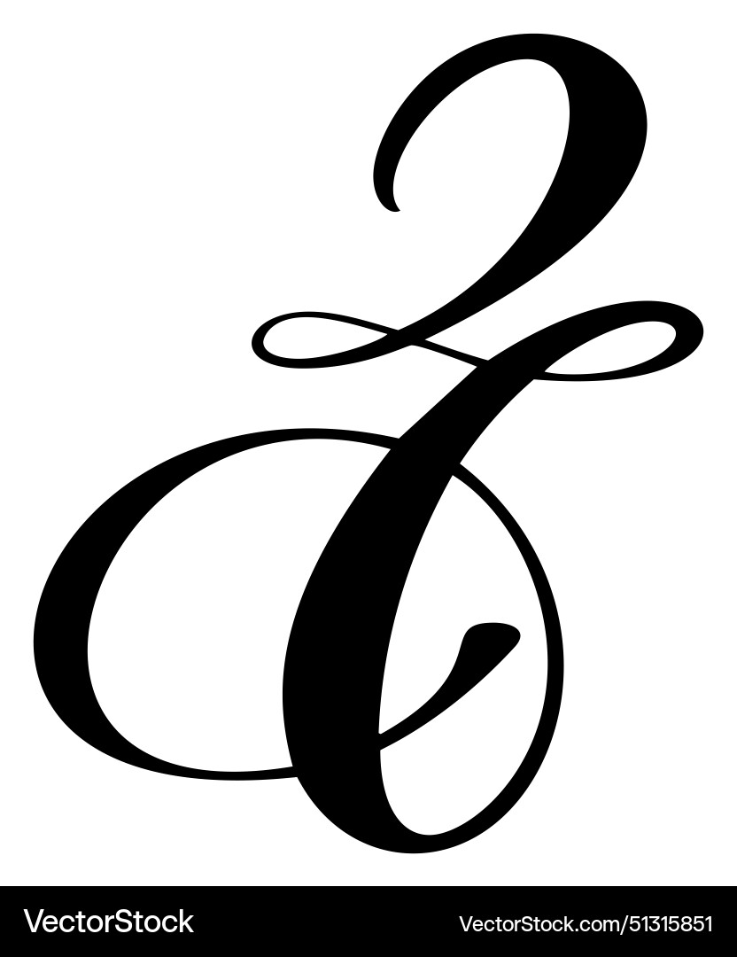 Hand Drawn Calligraphy Letter D Script Royalty Free Vector VectorStock