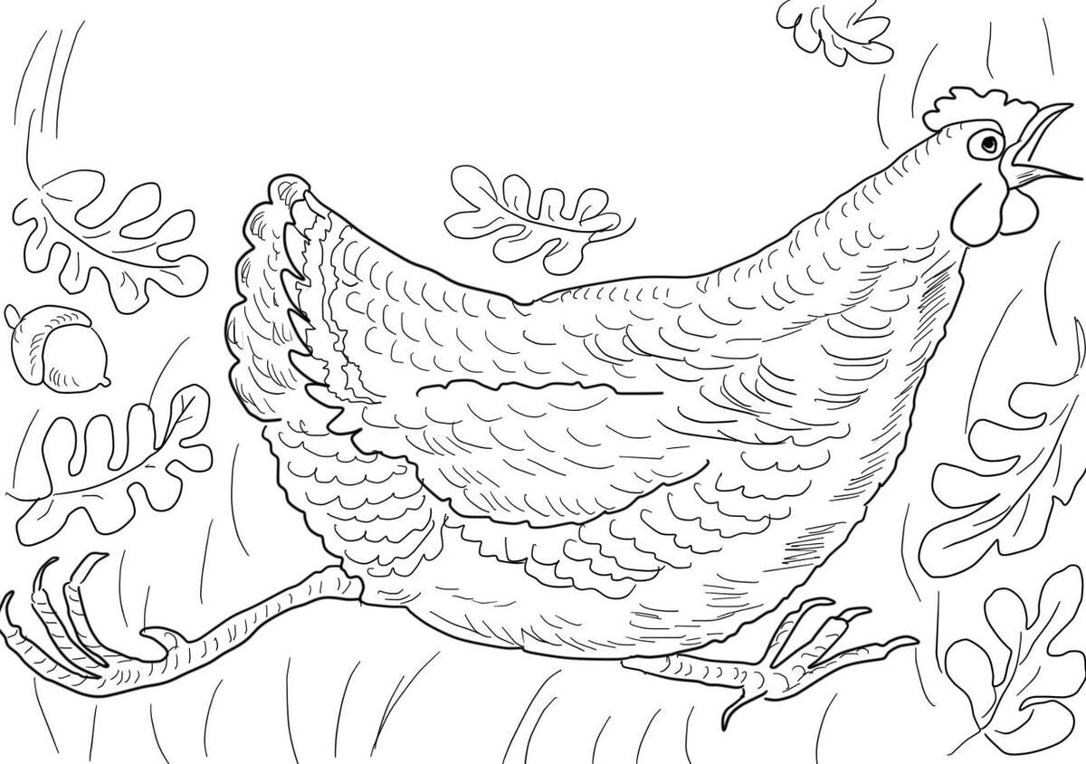 Henny Penny 5 Free Printable Coloring Pages