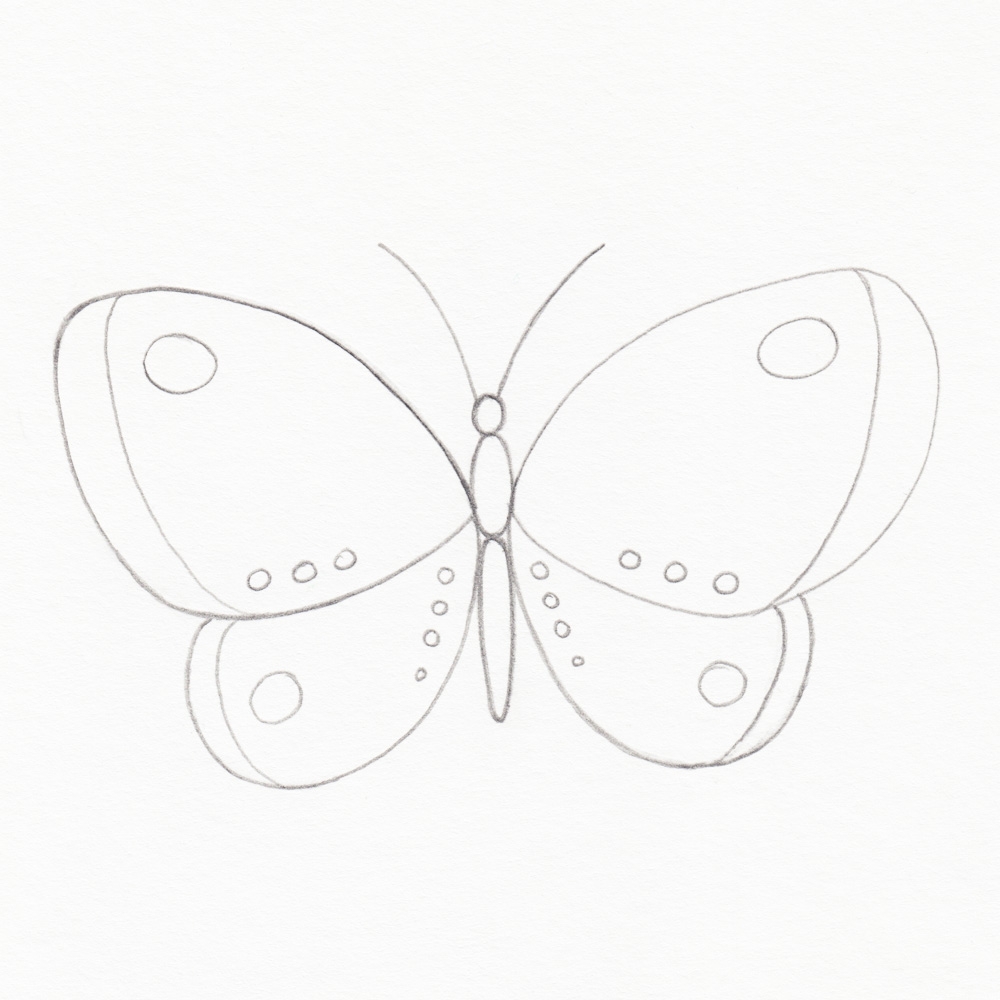 How To Draw A Butterfly How To Art