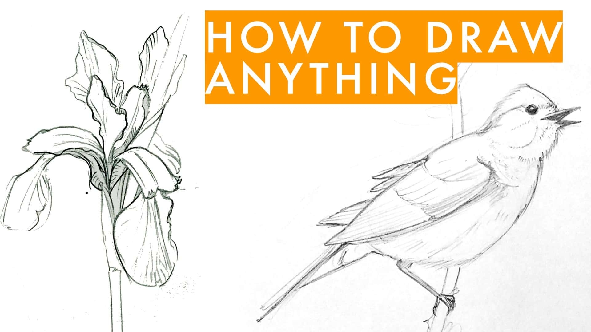 Free Online Drawing Course