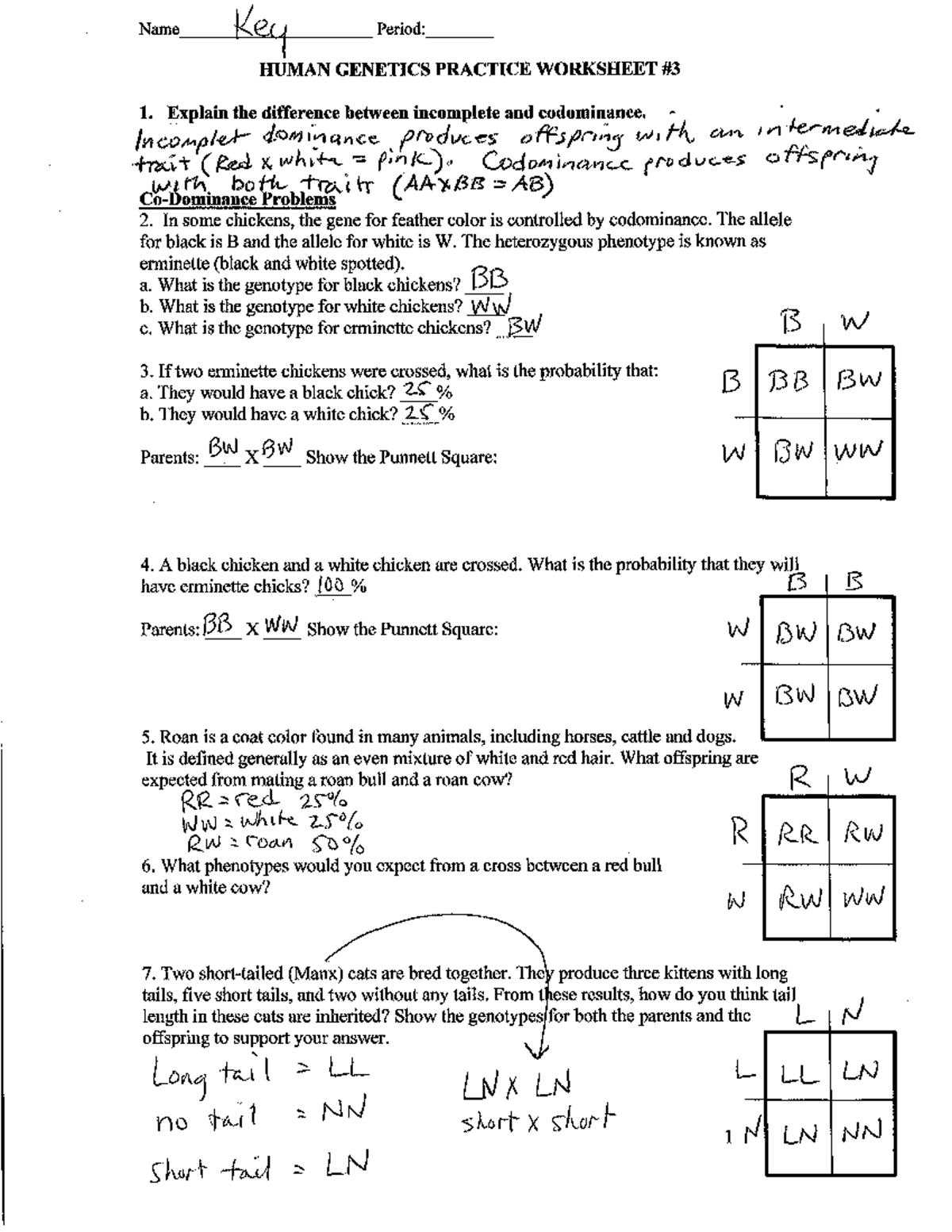 Human Genetics Practice Worksheet Incomplete Dominance Codominance Key Studocu
