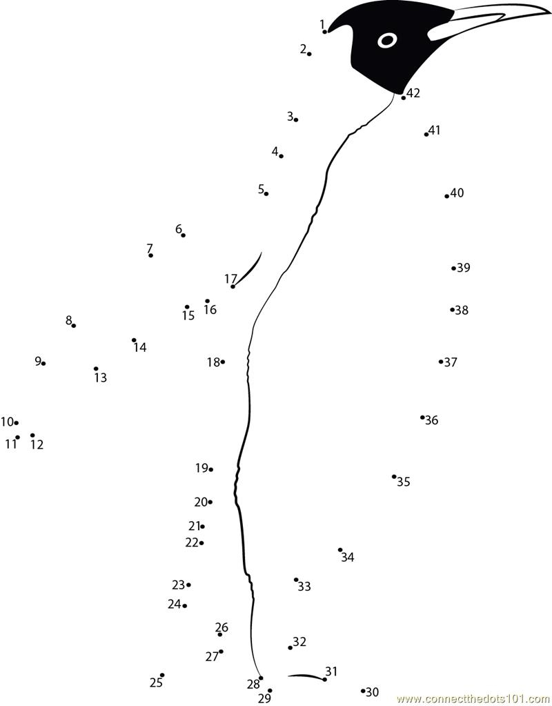 Lovely Penguin Dot To Dot Printable Worksheet Connect The Dots