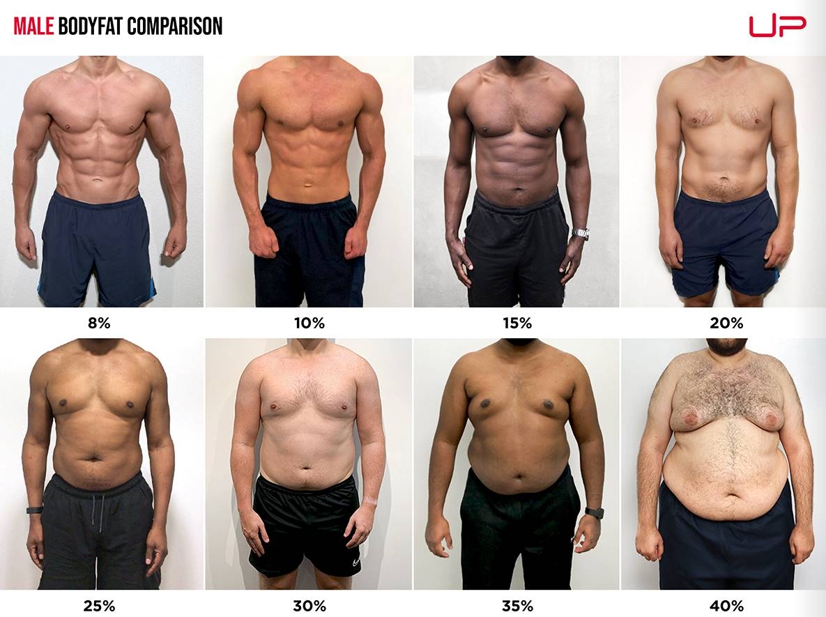 Self Assessing Body Composition N1 Training