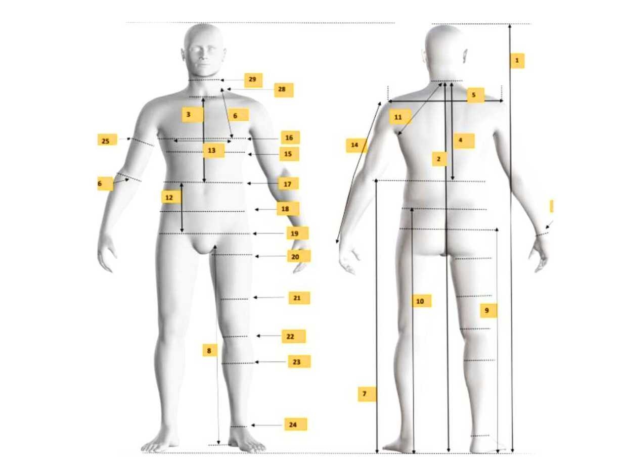 Men S Avatar Body Measurements Chart Size 40 Chest 40 101 6cm