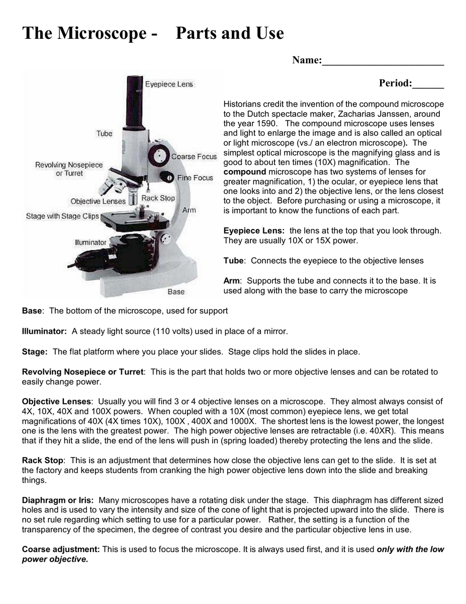 Microscope Parts Use Worksheet