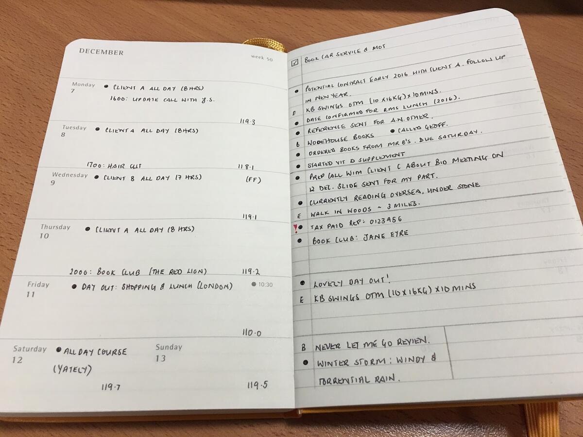 Moleskine Daily Planner