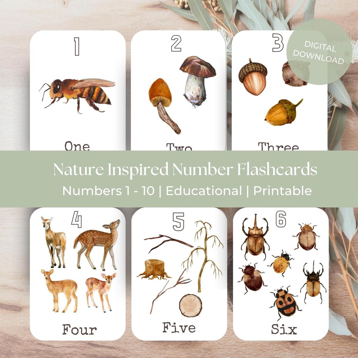 Nature Inspired Numbers 1 10 Flashcards Woodland Learning Printable Preschool Counting Cards Montessori Nature Numbers Etsy Israel