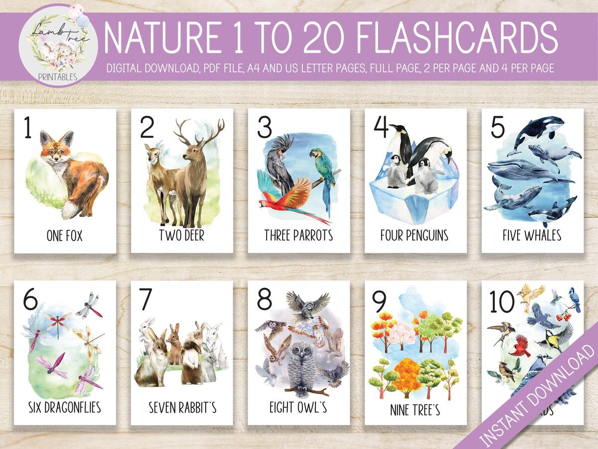 Nature Number Flashcards 1 20 Montessori Homeschool digital Download Etsy