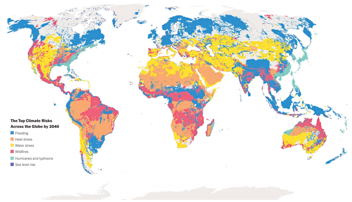 Over 75 New York Times Graphs For Students To Analyze The New York Times
