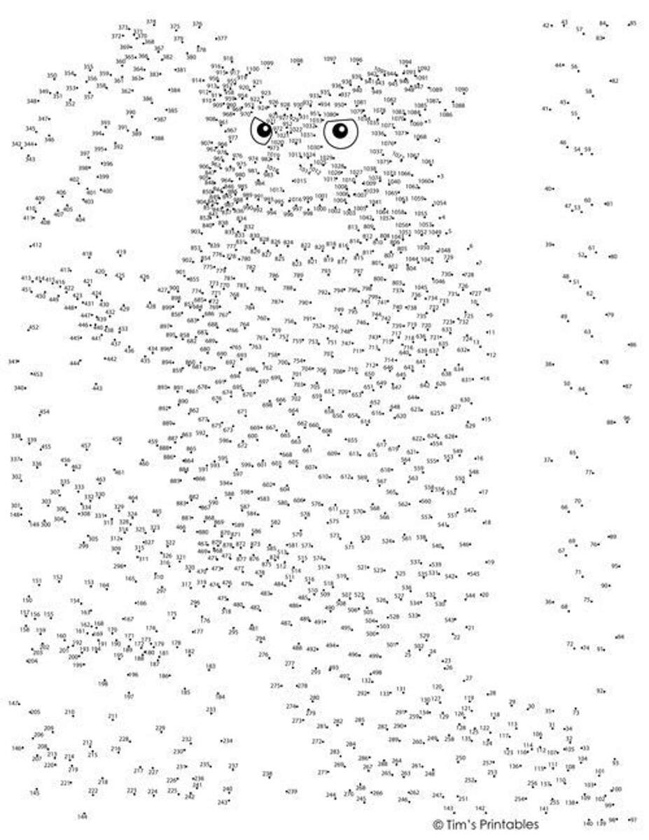 Owl Dot to dot Connect The Dots 1100 Dots Etsy