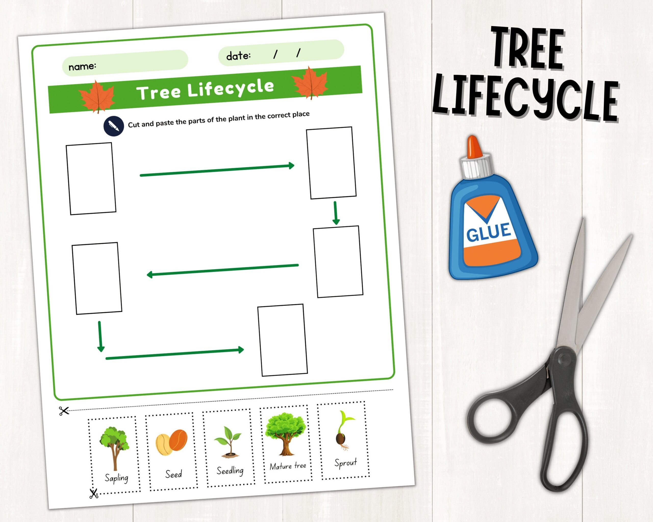 Parts Of A Tree Labeling Activity Tree Life Cycle Worksheet Tree Fact File For Kids Tree Printable Worksheets Instant Download PDF Etsy Israel Parts Of A Tree Labeling Activity Tree Life Cycle Worksheet Tree Fact File For Kids Tree Printable Worksheets Instant Download PDF Etsy Israel