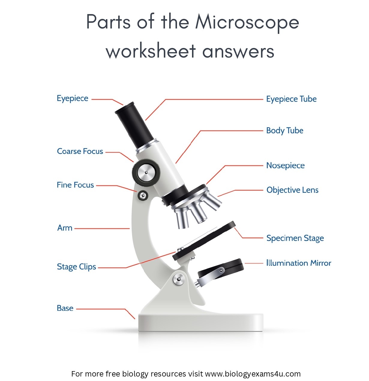 Parts Of The Microscope Worksheet With Answers Biology Worksheet Parts Of A Microscope With Functions And Labeled Diagram