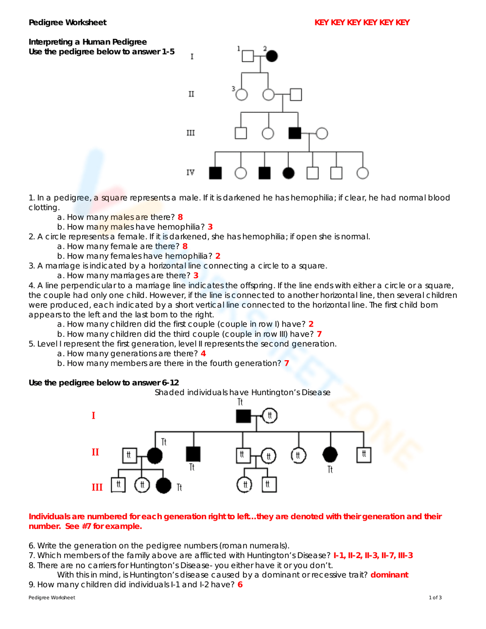 Pedigree Worksheets Printable