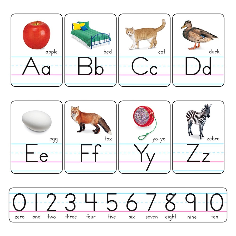 Photo Alphabet Cards Zaner Bloser Manuscript Bulletin Board Set T 721 Trend Enterprises Inc Alphabet Lines