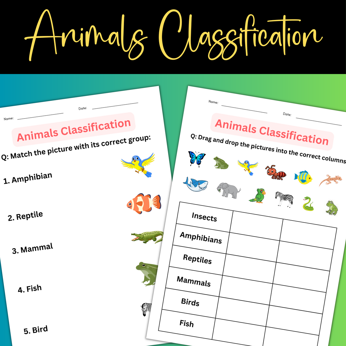Printable Classification Of Animals Worksheet For Grade 1 2 3 Made By Teachers Printable Classification Of Animals Worksheet For Grade 1 2 3 Made By Teachers