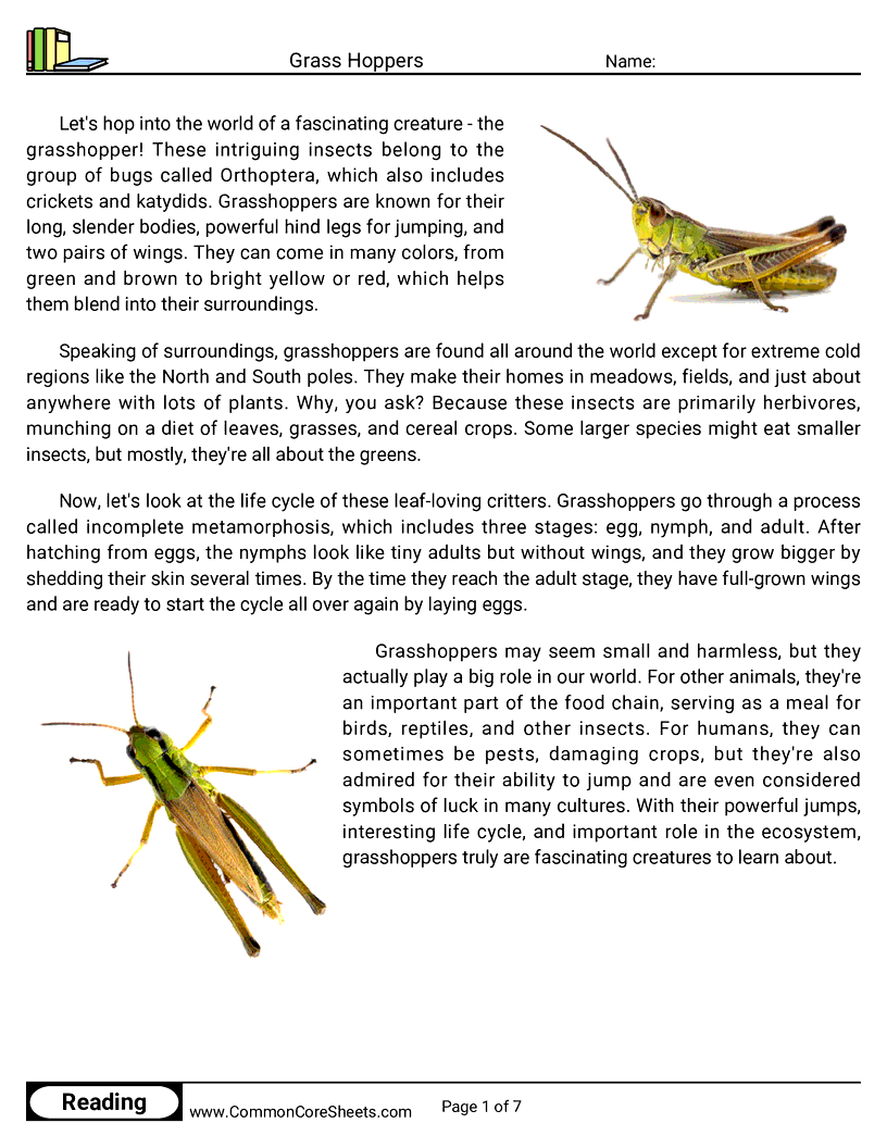Reading Comprehension Insects Worksheets