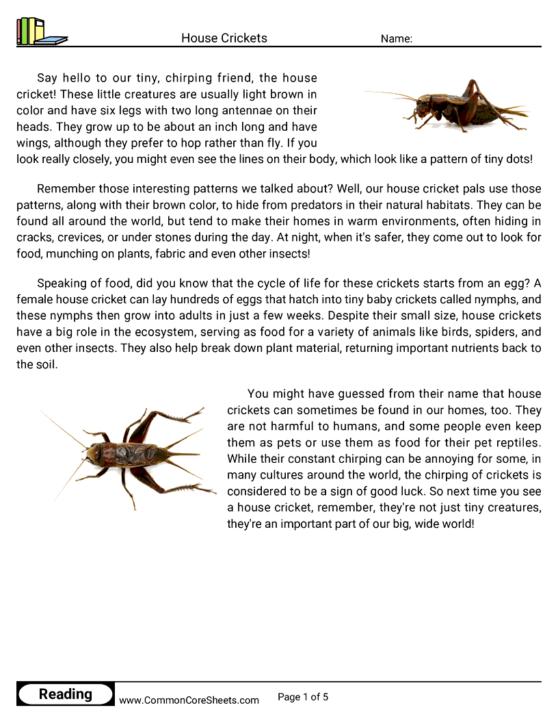 Reading Comprehension Insects Worksheets