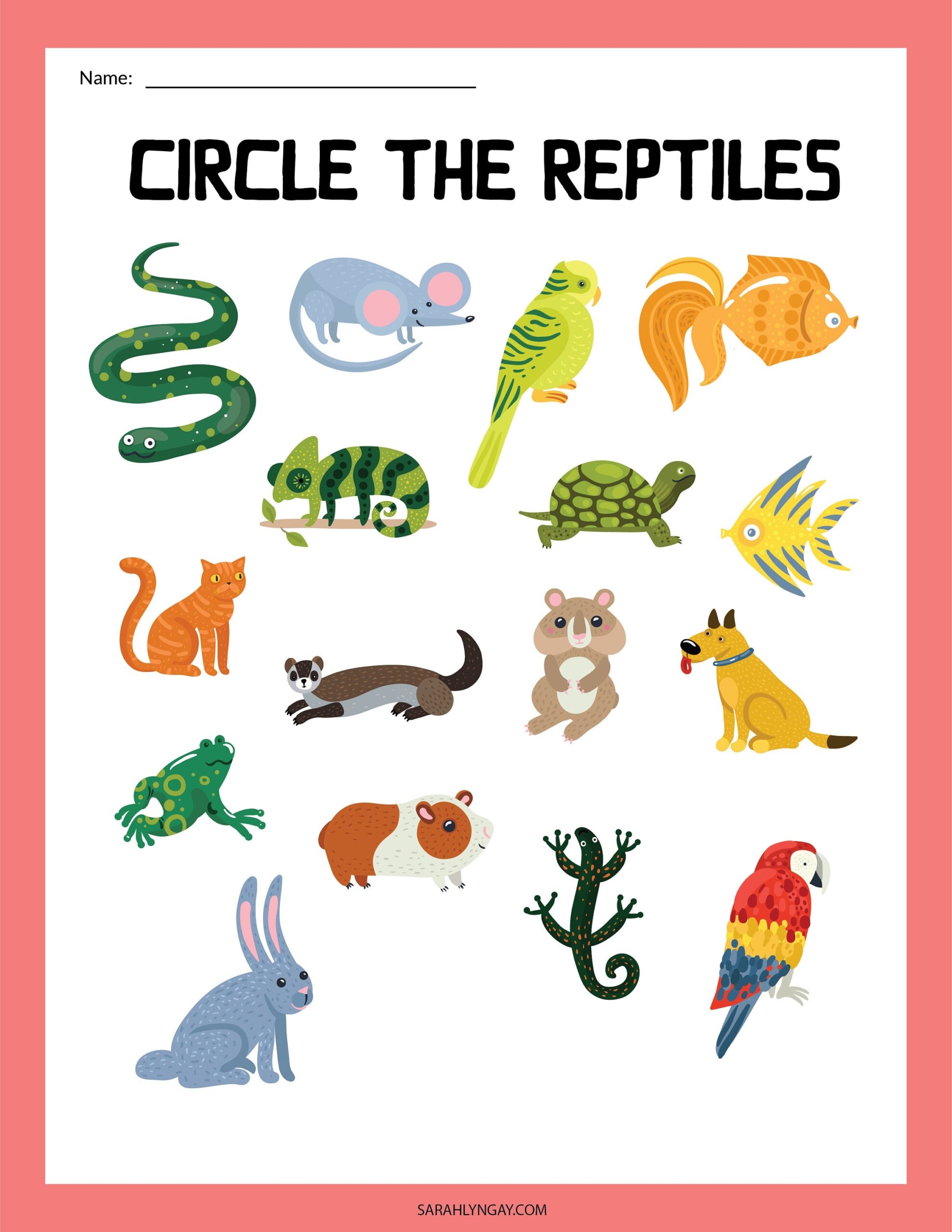 Reptiles All About Reptiles Digital Download Instant Download Kid S Worksheet STEM Worksheets Etsy Reptiles All About Reptiles Digital Download Instant Download Kid S Worksheet STEM Worksheets Etsy