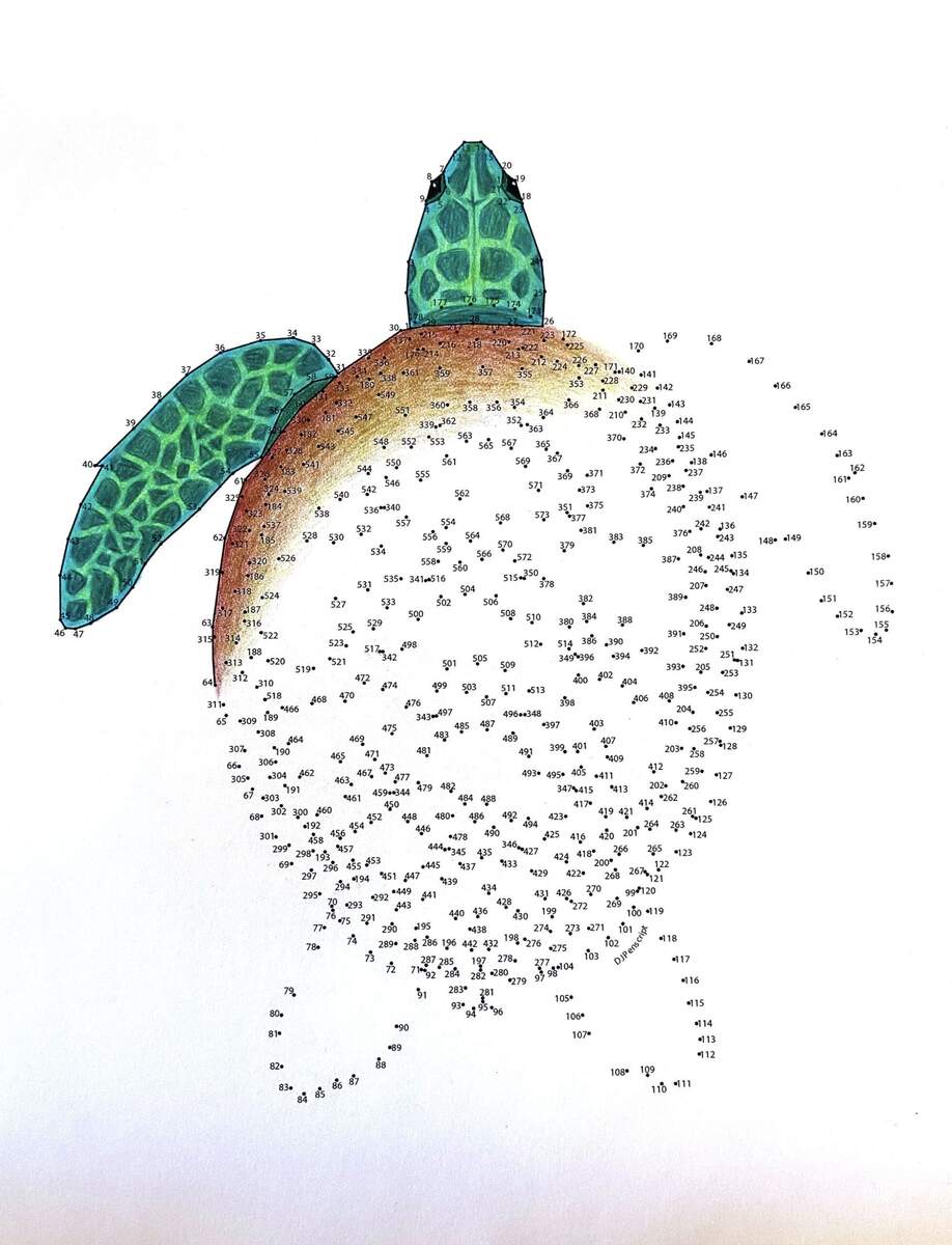 Sea Turtle Extreme Dot To Dot PDF Activity And Coloring Page Etsy Sea Turtle Extreme Dot To Dot PDF Activity And Coloring Page Etsy