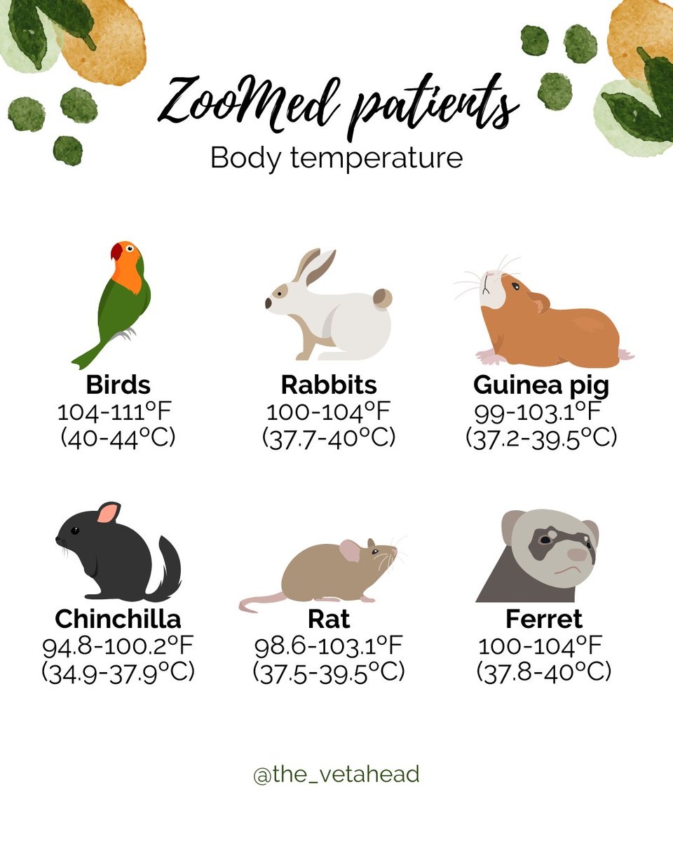 File 1911 Animal Heat Png Wikimedia Commons